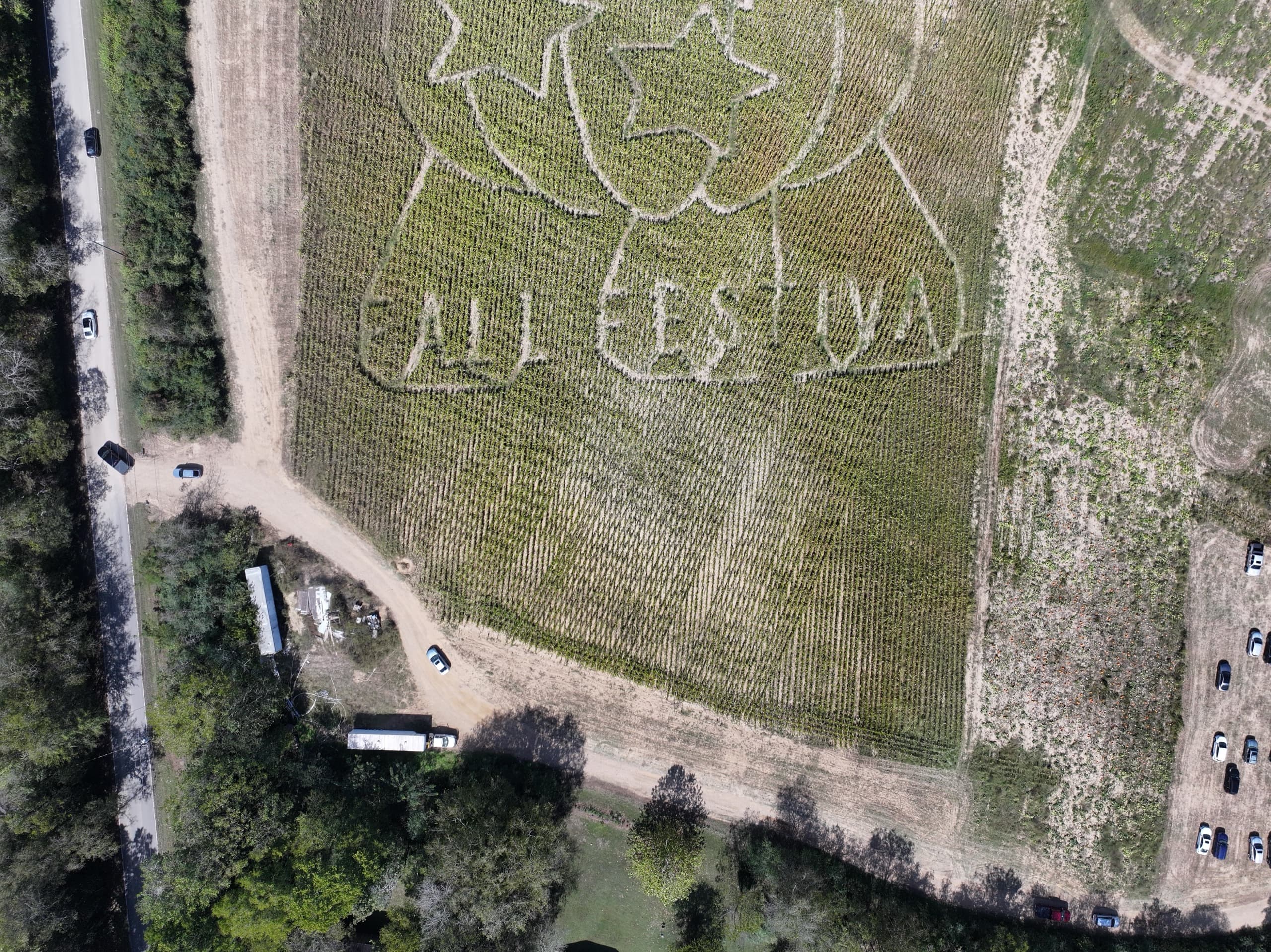 The hillside corn maze at the Nashville Fall Festival from above, its festival design carved into the green field
