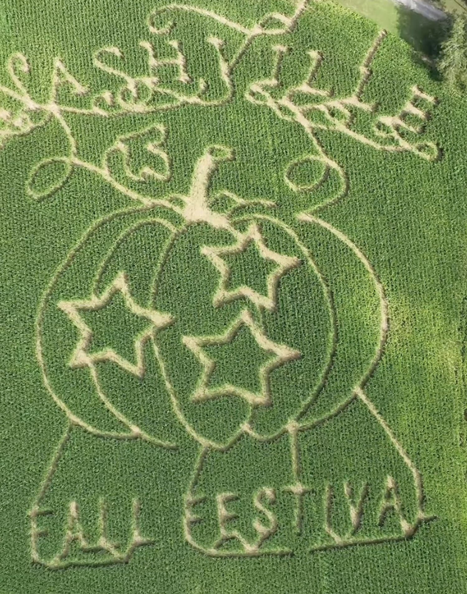 Aerial top-down view of the Nashville Fall Festival corn maze, with "Nashville Fall Festival," a pumpkin, and stars cut into the field