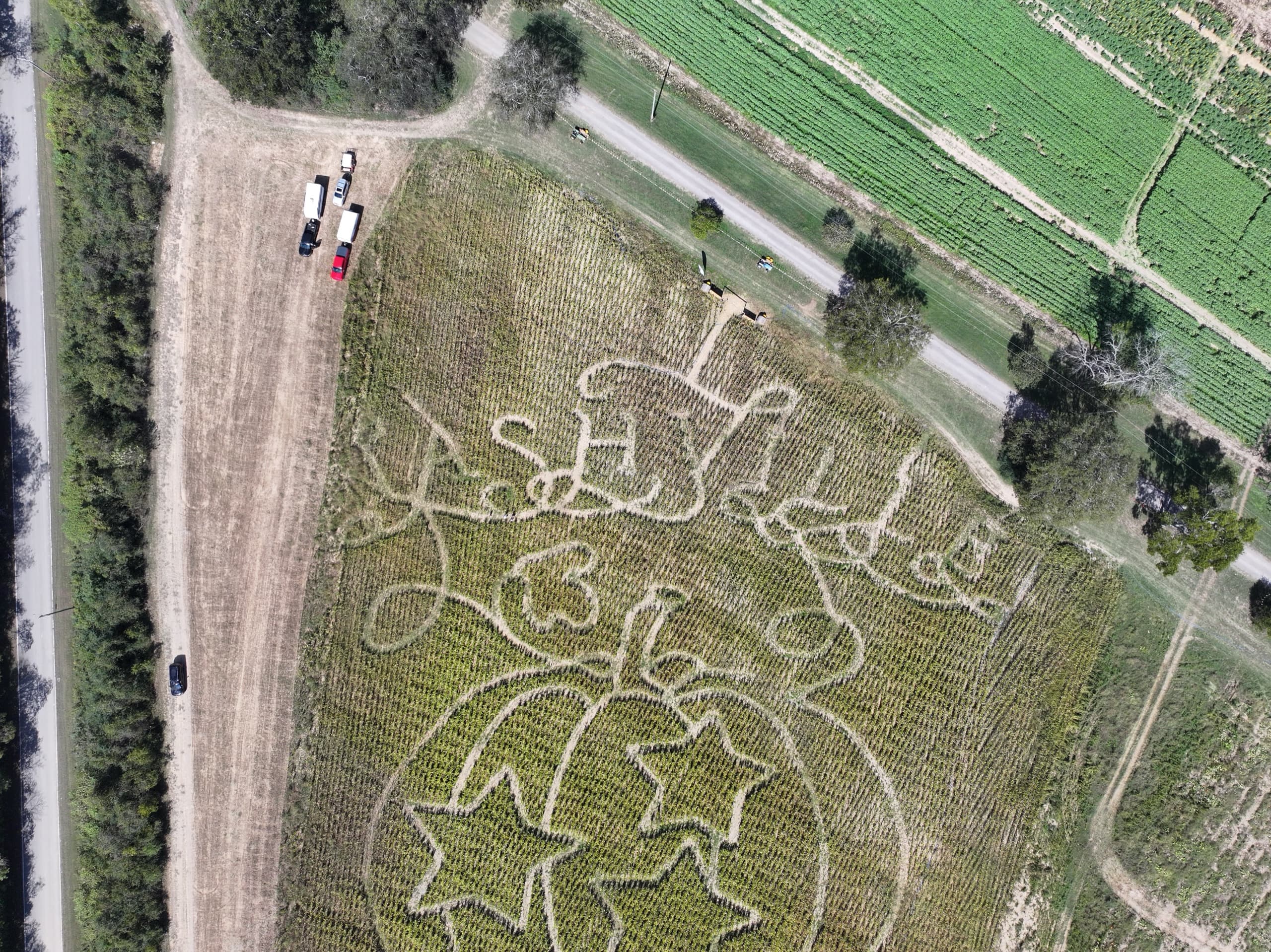 Aerial top-down view of the Nashville Fall Festival corn maze, with "Nashville Fall Festival," a pumpkin, and stars cut into the field